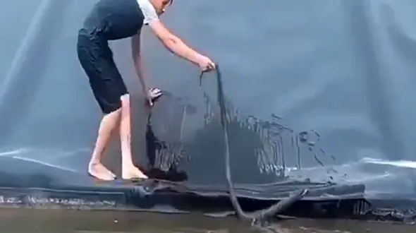 فیلم وحشت آور از گرفتار شدن مسئول باغ وحش در محاصره مارها در آب