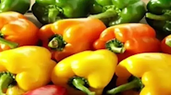 ماجرای فلفل‌های سمی ایران در روسیه چه بود؟ + فیلم