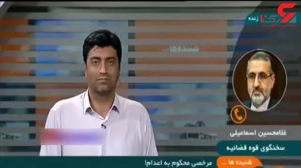 توضیحات سخنگوی دستگاه قضا در مورد فرار سعید ملک پور+ فیلم