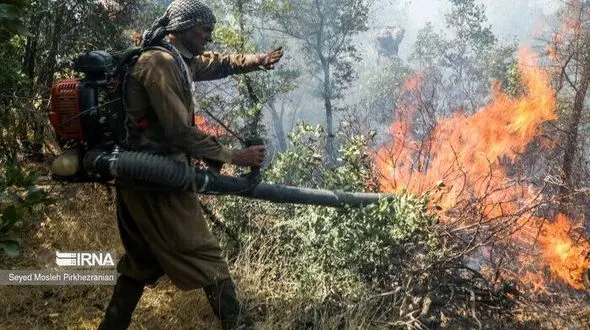 بررسی گزارش غیرکارشناسی مجلس درباره آتش‌سوزی جنگل‌های الیت