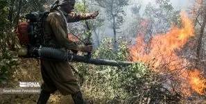 بررسی گزارش غیرکارشناسی مجلس درباره آتش‌سوزی جنگل‌های الیت