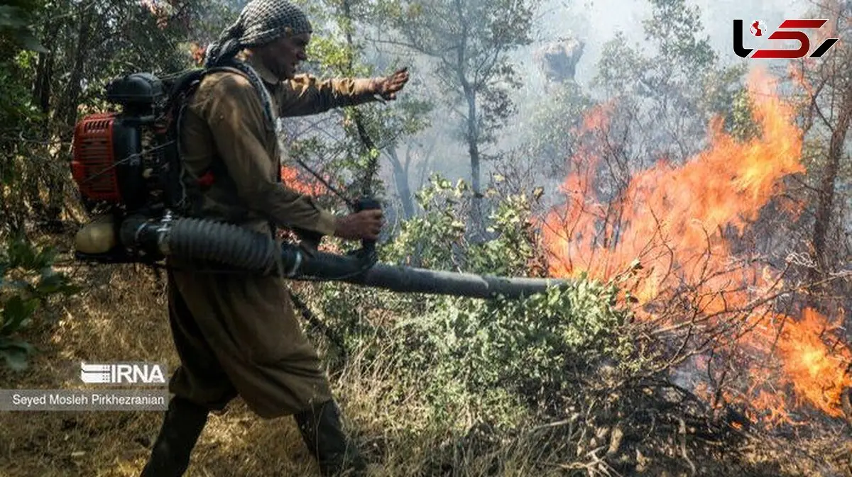 بررسی گزارش غیرکارشناسی مجلس درباره آتش‌سوزی جنگل‌های الیت