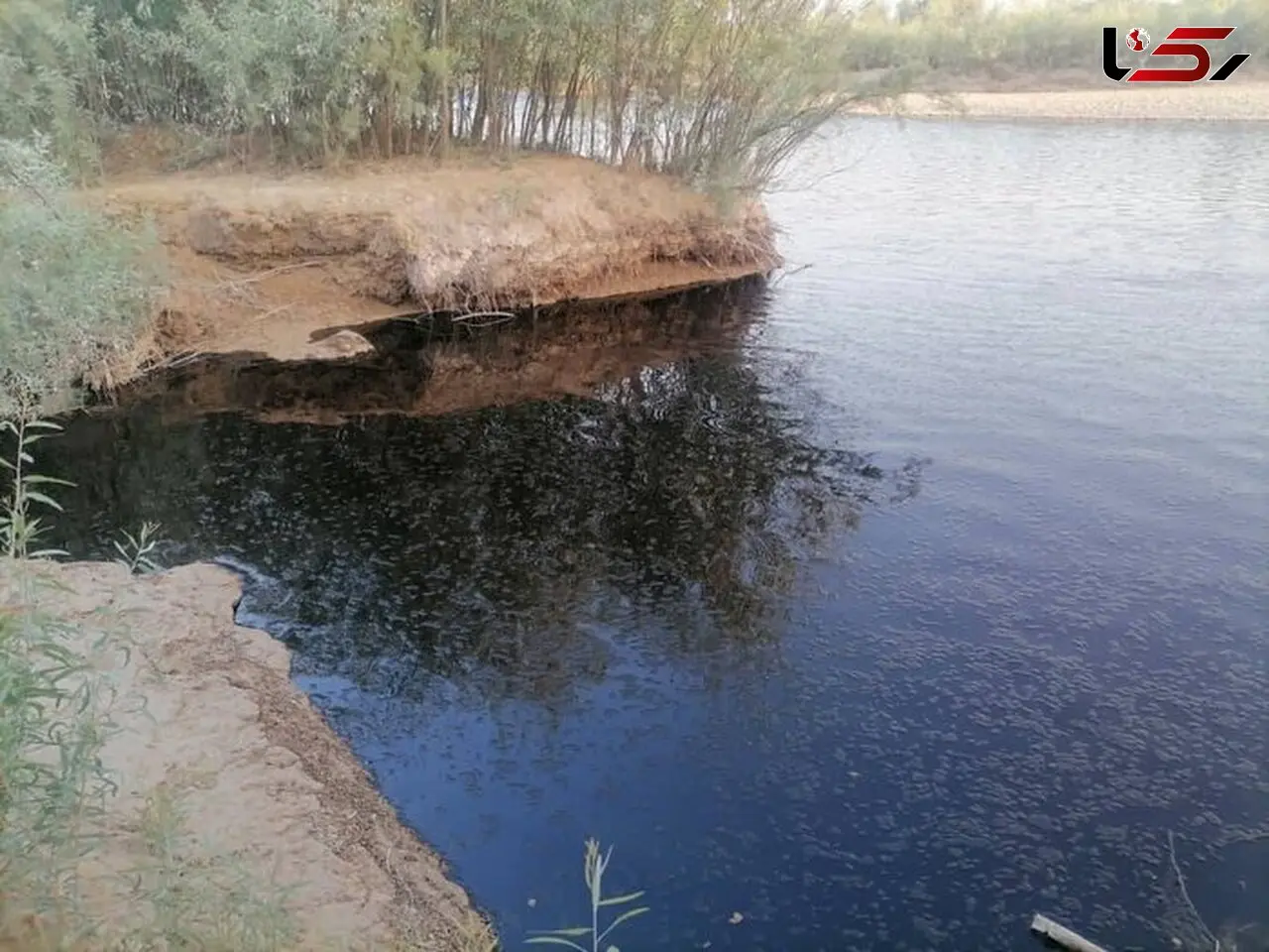 دستور دادستان امیدیه در خصوص لکه‌های نفتی در رودخانه مارون