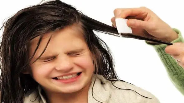 راهکارهای موثر در بلند شدن سه سوته موی سر