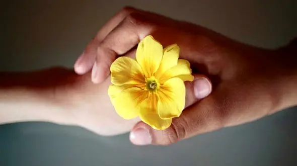 نقش احترام در سلامت افراد جامعه‌