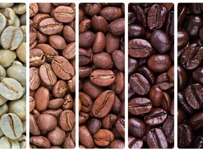فال قهوه + فیلم