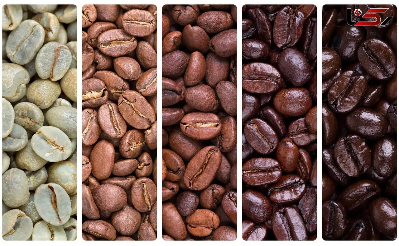 فال قهوه + فیلم