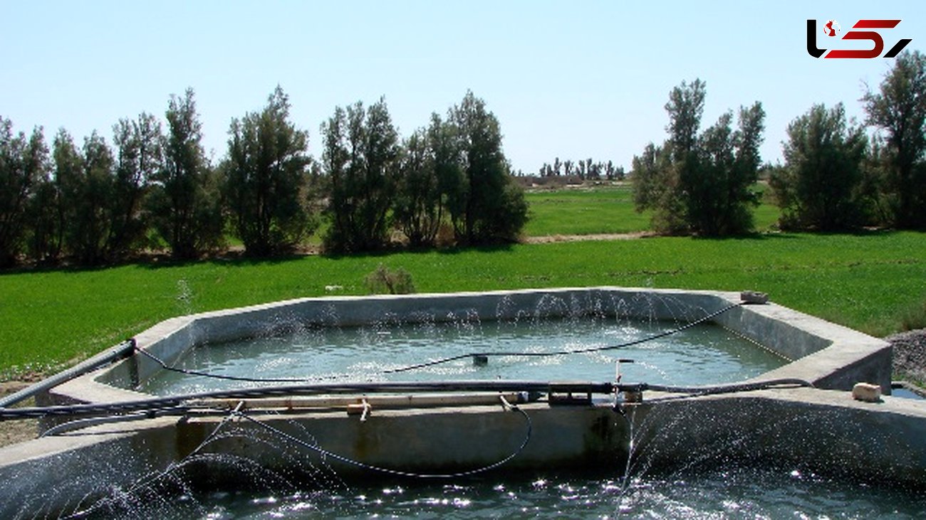 استفاده از استخرهای دو منظوره کشاورزی و پرورش آبزیان شرایط اشتغالزایی مطلوب را فراهم می کند