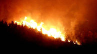 560 هکتار از جنگل های جنوب فرانسه در آتش سوخت