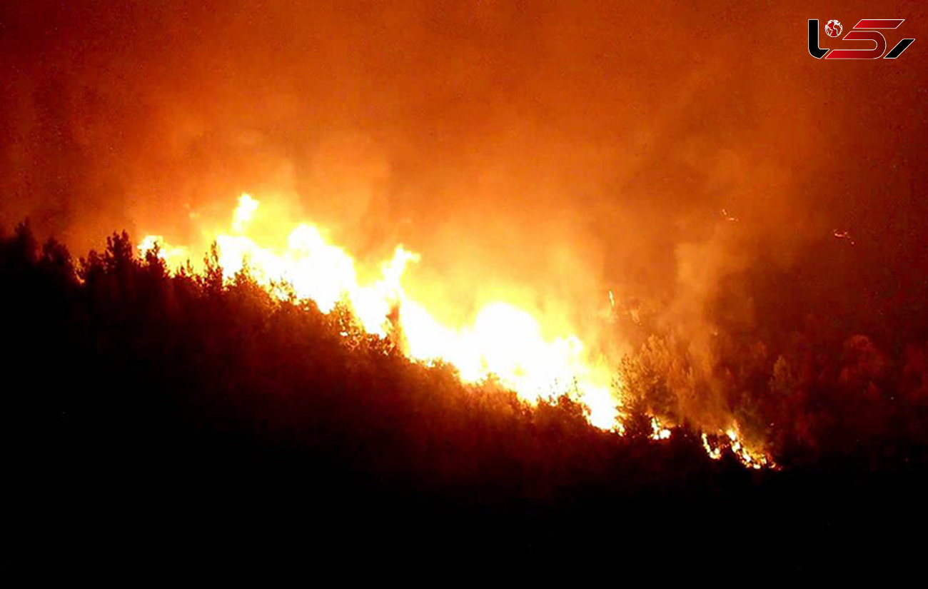 560 هکتار از جنگل های جنوب فرانسه در آتش سوخت