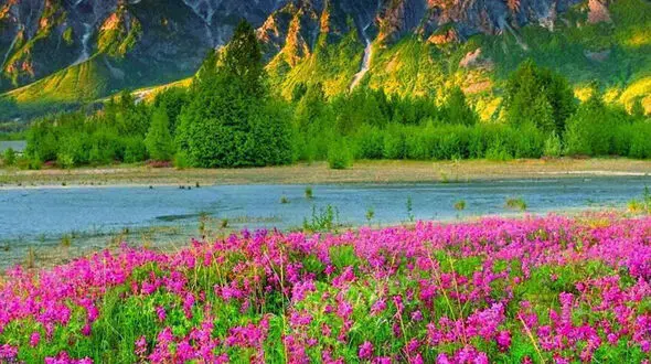 روی هدفت تمرکز کن، نه روی ترس‌ هایت