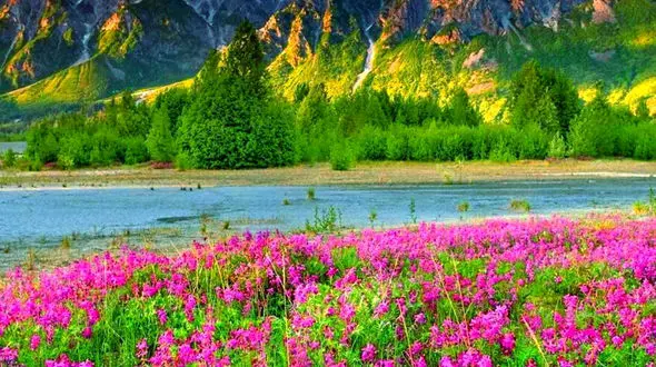 روی هدفت تمرکز کن، نه روی ترس‌ هایت
