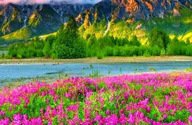 روی هدفت تمرکز کن، نه روی ترس‌ هایت
