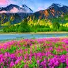 روی هدفت تمرکز کن، نه روی ترس‌ هایت