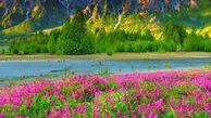 روی هدفت تمرکز کن، نه روی ترس‌ هایت
