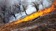 مهار آتش سوزی در بیش از 2 هزار مترمربع اراضی پارک ملی بوجاق