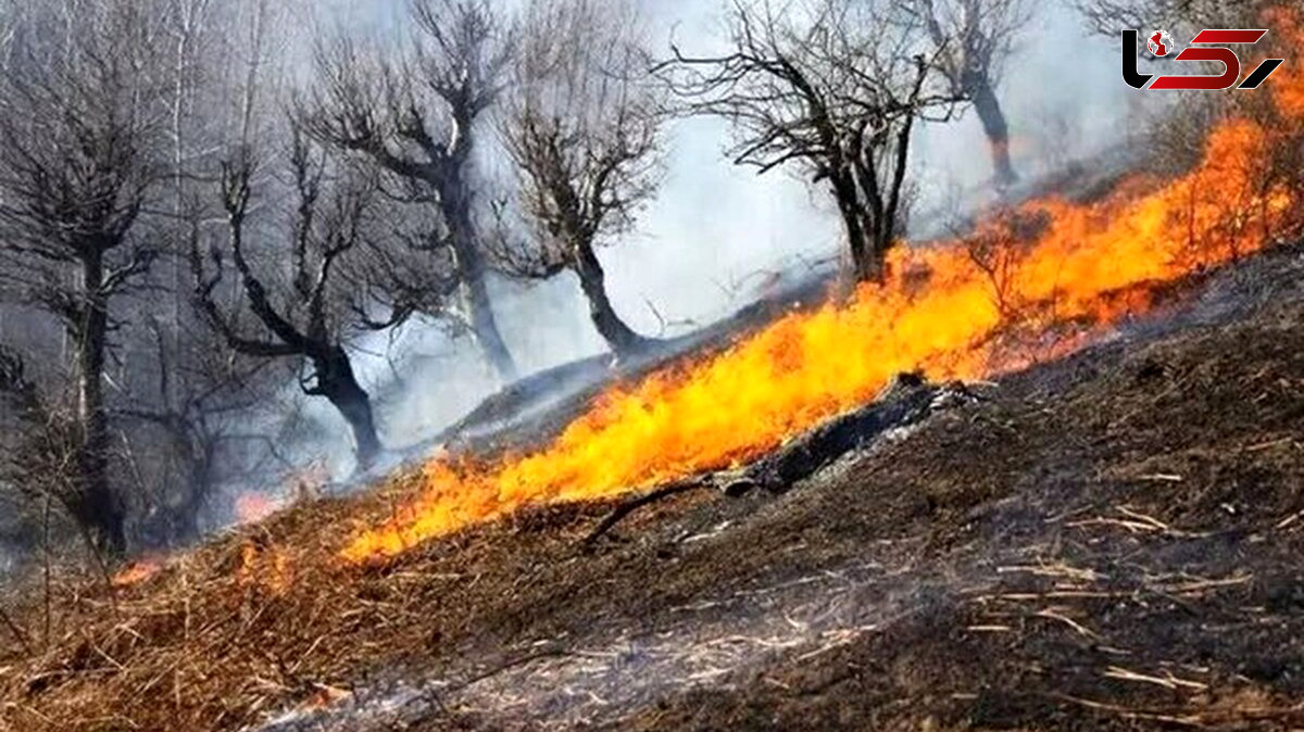 صدور ۴ دستور قضایی برای  آتش‌سوزی جنگل‌های مریوان 