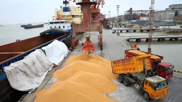 450 میلیون دلار برای خرید نهاده‌ دام گم شد ! / پای اقوام نزدیک یکی از وزرای دولت روحانی درمیان است