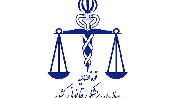 1350 مرد پس از کتک خوردن از همسرانشان به پزشکی قانونی رفتند / جزئیات خشونت زنان ایرانی علیه شوهرانشان