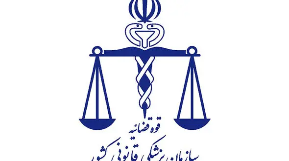 1350 مرد پس از کتک خوردن از همسرانشان به پزشکی قانونی رفتند / جزئیات خشونت زنان ایرانی علیه شوهرانشان