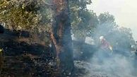 ده ها هکتار از جنگل ها و مراتع کرمانشاه در آتش سوخت