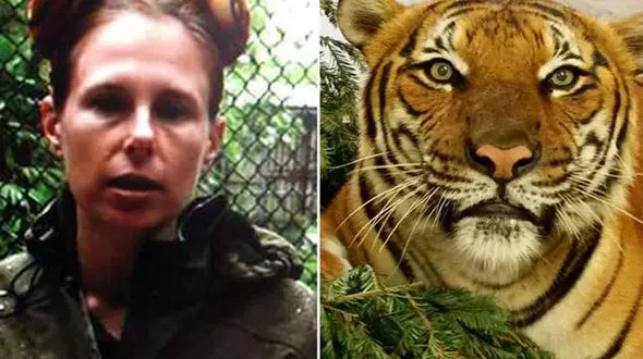 حمله مرگبار ببر باغ وحش به نگهبان زن + فیلم و عکس
