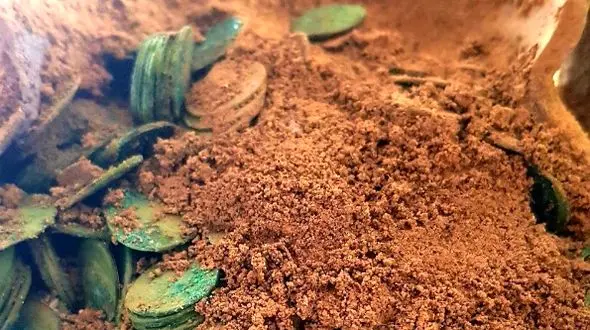 مردی دنبال قطعۀ گمشدۀ «تراکتور» می‌گشت، «کوزۀ گنج 400 ساله» را پیدا کرد + عکس کوزه و سکه های عهد عتیقه