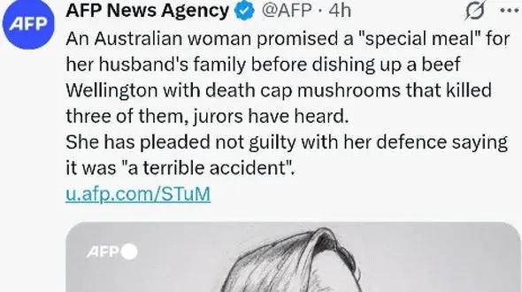 محاکمه زنی که3 نفر از خانواده شوهر سابقش را مسموم کرد