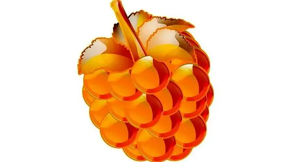 تمشک طلایی به ستاره های محبوب سینما رسید 