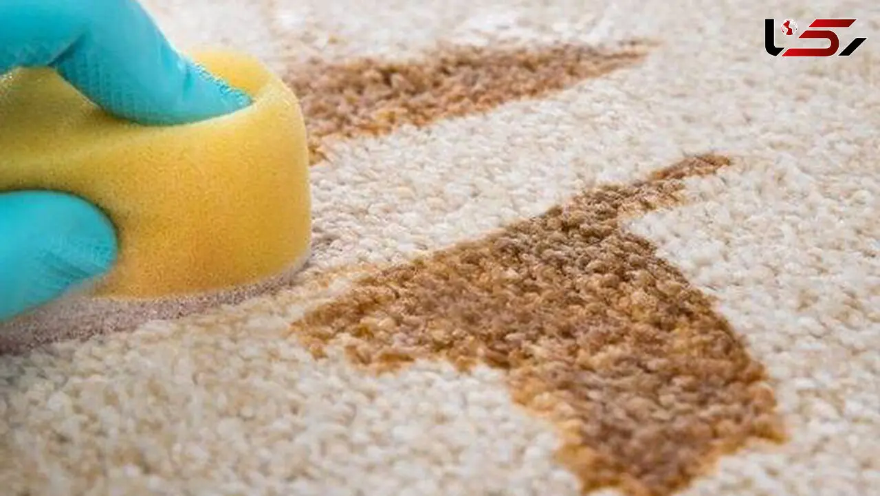 تمیز کردن فرش با ترفندهای خانگی+ جزئیات