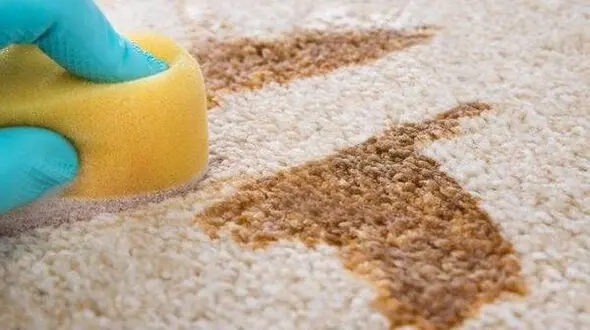 تمیز کردن فرش با ترفندهای خانگی+ جزئیات