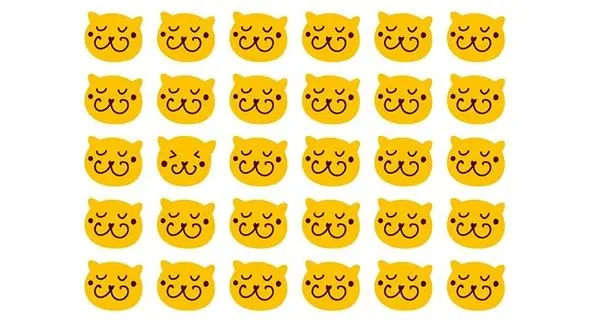 تست /  امتحان کنید آیا جز یک درصد خاص انسان ها هستید! + جواب