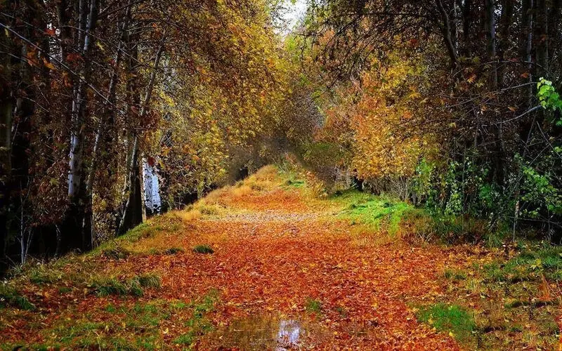 برغان