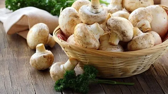 این خوشمزه پر انرژی را در طول روز بخورید