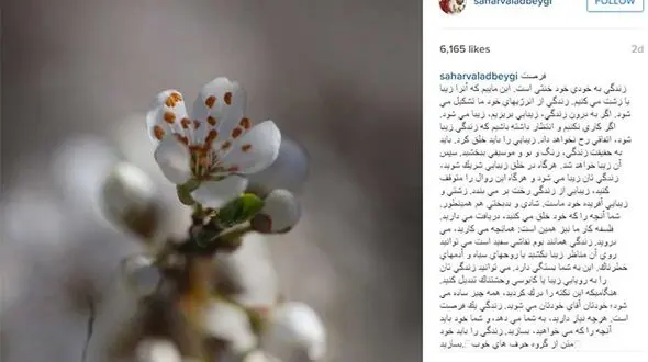 در خلق زیبایی شریک شوید
