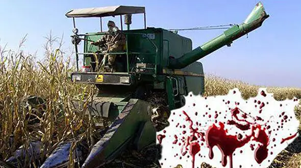 کمباین جوان ساروی را بلعید