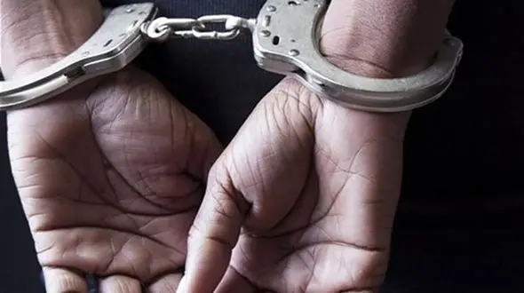 مدیر عامل یک شرکت دولتی شبانه روانه زندان شد / جرم او چه بود؟