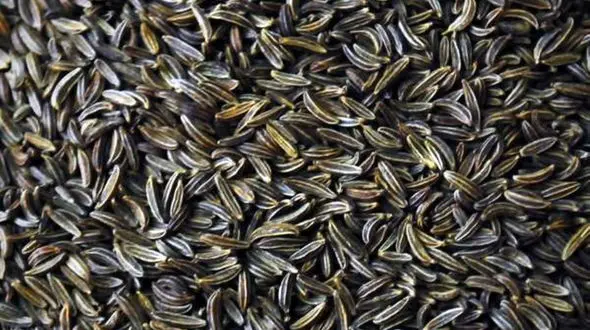 نکات مهم طب سنتی در لاغر شدن