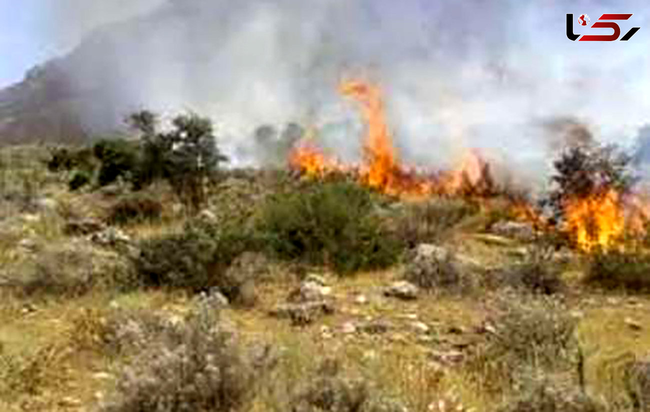 آتش سوزی درجنگل ها و مراتع کوه گاوزرده معمولان پلدختر