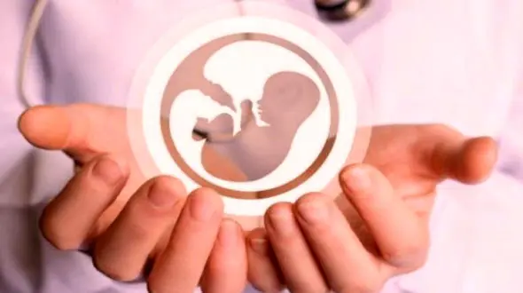 راه های پیشگیری از فرزندآوری در کشور های غربی