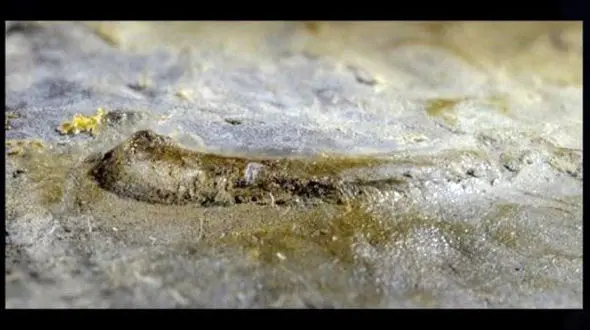 کشف یک چشم دست نخورده با 530 میلیون سال عمر