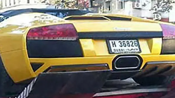 گاو وحشی در تهران +عکس