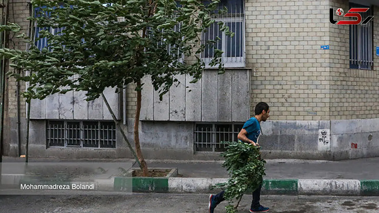 دوباره باران و باد و خاک در مسیر تهران