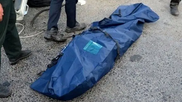 پرونده جنایت خونین در پارک ستارخان روی میز قضات جنایی + صفر تا صد پرونده