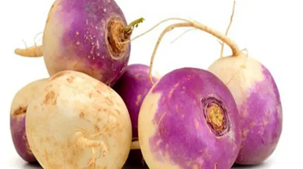 درمان سنگ کلیه با میوه ای زمستانی