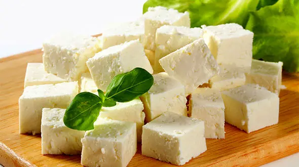 چرا چاق ها باید پنیر کمتری بخورند