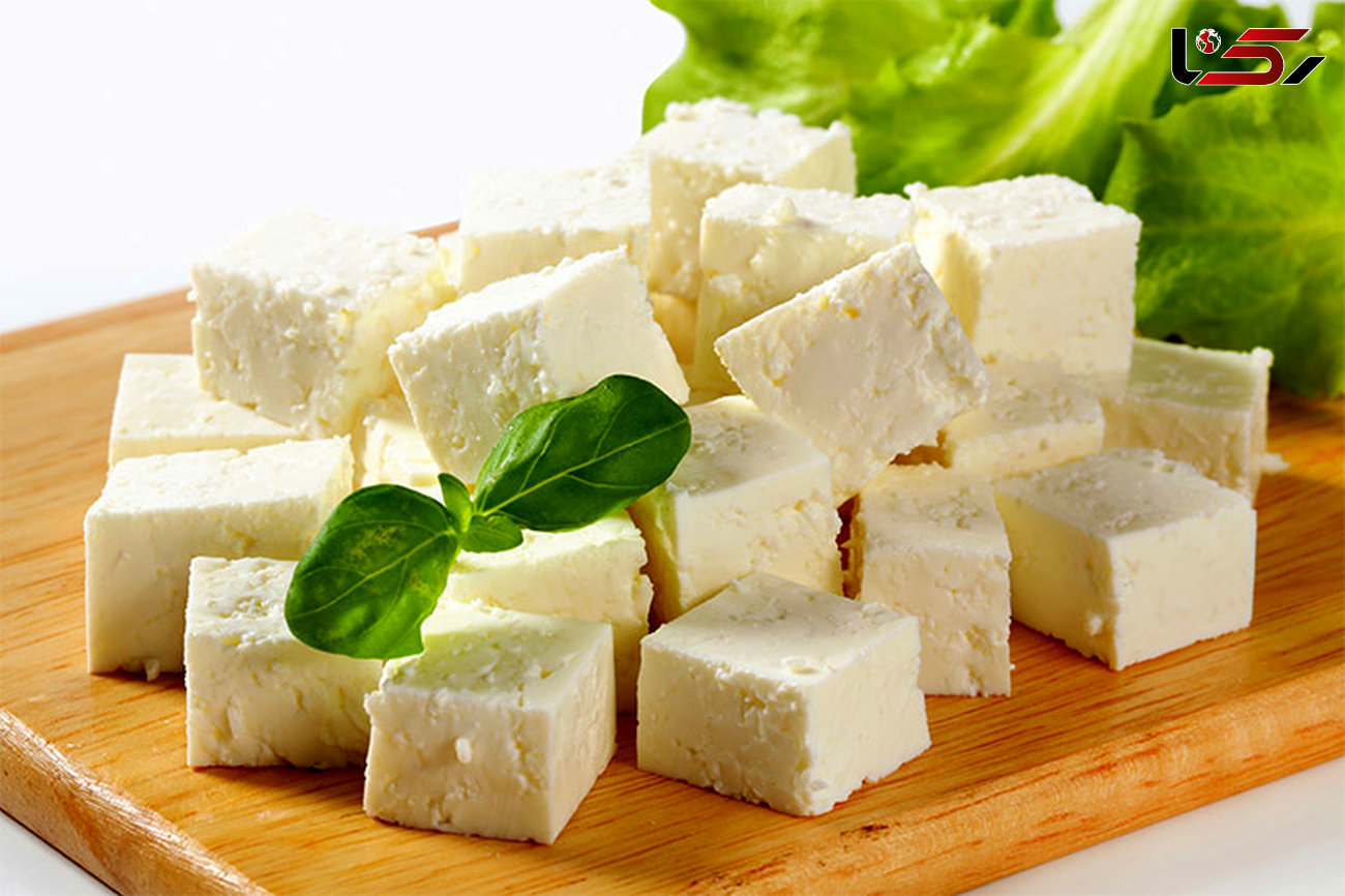 چرا چاق ها باید پنیر کمتری بخورند