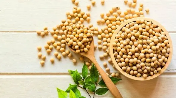 کاهش وزن درمان اصلی کبد چرب 