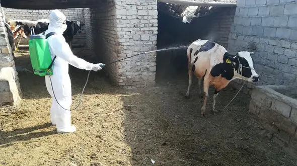 توضیح روابط عمومی اداره کل دامپزشکی استان مازندران در پی درج یک خبر