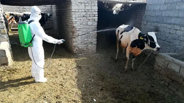 وحشت از یک بیماری خطرناکتر از کرونا در 3 شهر مازندران ! + جزییات